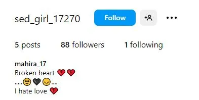 Instagram stylish bio for girl , Example account