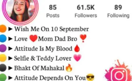 Instagram stylish bio for girl , Example account
