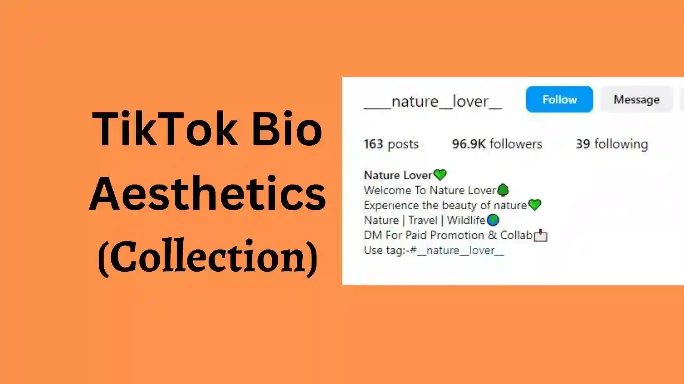 100 TikTok Bio Ideas Aesthetic Showcasing Your Unique Style