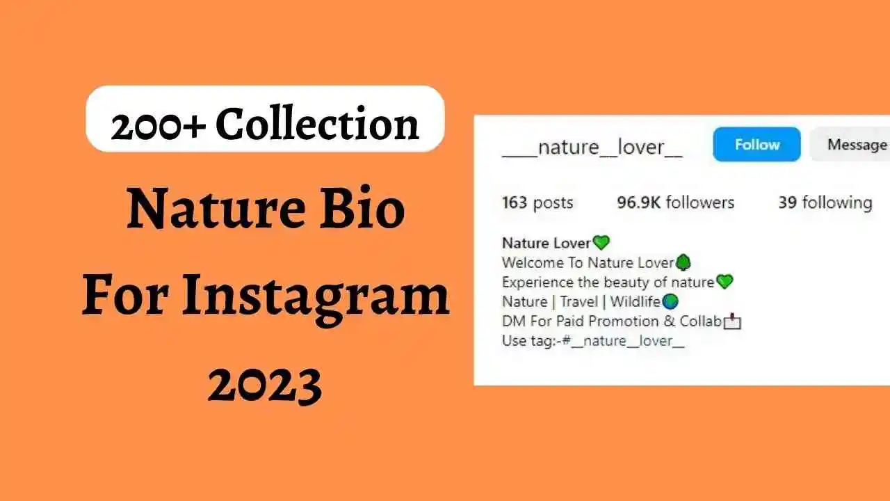 200+ collection nature bio for Instagram