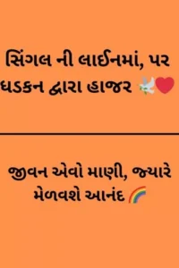Instagram bio Gujarati 1