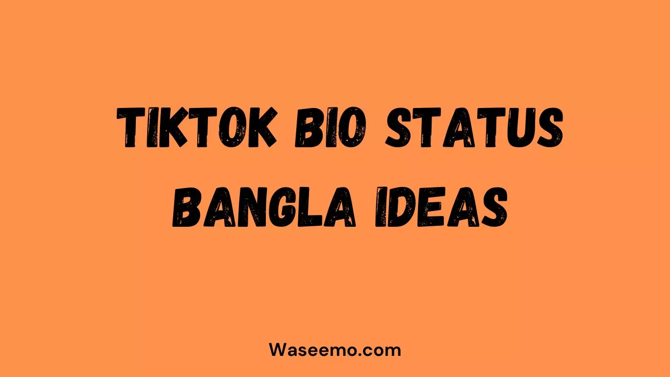 TikTok Bio Status Bangla Ideas