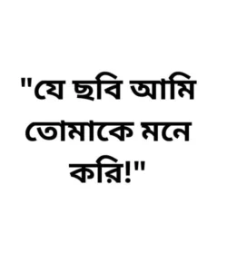 100 Bengali caption for FB example 3
