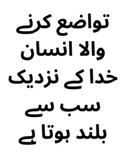 100 Hazrat Ali Quotes in Urdu 2