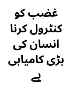 100 Hazrat Ali Quotes in Urdu 6