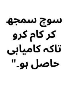 100 Hazrat Ali Quotes in Urdu 8
