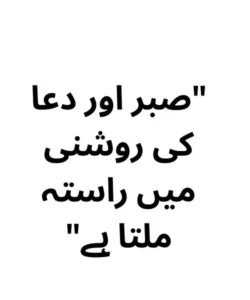 100 One Line Captions in Urdu example 1
