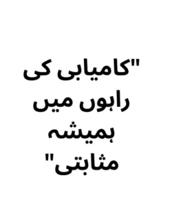 100 One Line Captions in Urdu example 3