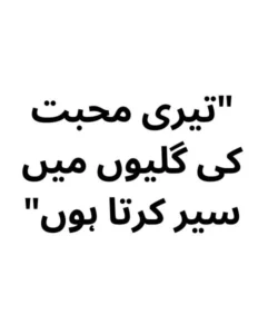 100 One Line Captions in Urdu example 4