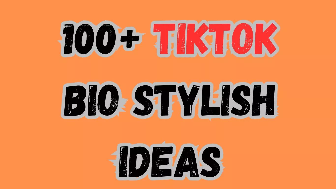 100+ TikTok Bio Stylish Ideas