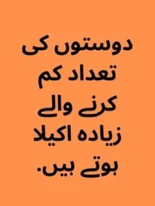 munafiq quotes in urdu example quote 1