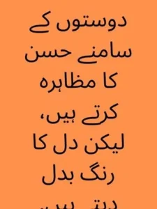 munafiq quotes in urdu example quote 2