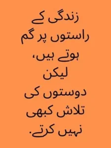 munafiq quotes in urdu example quote 3