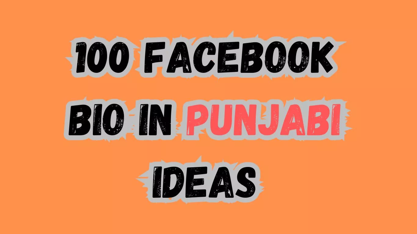 !00 facebook bio in punjabi ideas