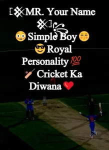 Instagram Bio for Cricket Lovers example 11