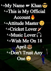 Instagram Bio for Cricket Lovers example 2
