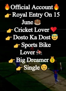 Instagram Bio for Cricket Lovers example 4