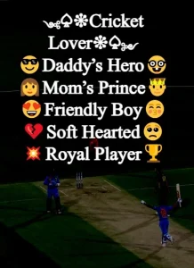 Instagram Bio for Cricket Lovers example 6
