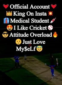 Instagram Bio for Cricket Lovers example 7