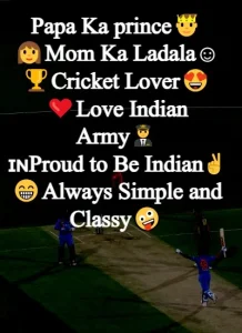 Instagram Bio for Cricket Lovers example 9