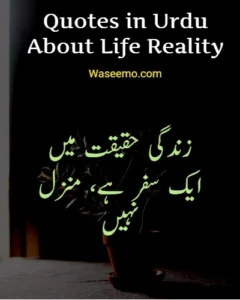 Quotes in Urdu About Life Reality example 1