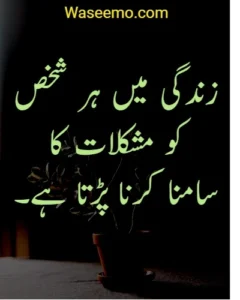 Quotes in Urdu About Life Reality example 2