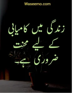 Quotes in Urdu About Life Reality example 3