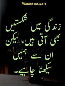 Quotes in Urdu About Life Reality example 4