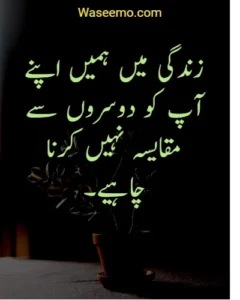 Quotes in Urdu About Life Reality example 6