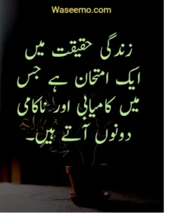 Quotes in Urdu About Life Reality example 7
