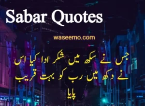 Sabar quotes in urdu example image 8