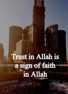 Trust Allah Quotes example 9