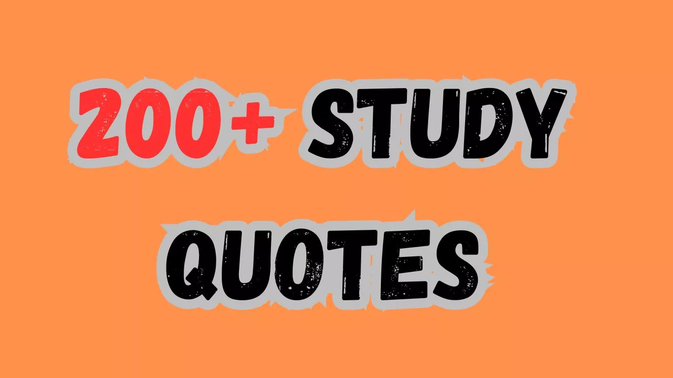 200+ Study Quotes