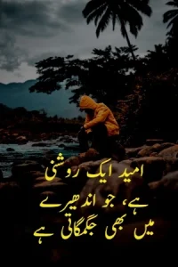 Emotional Quotes in Urdu example 1
