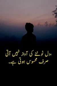 Heart Broken Quotes in Urdu example 1