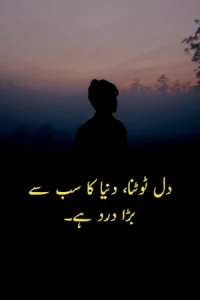 Heart Broken Quotes in Urdu example 2