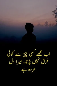 Heart Broken Quotes in Urdu example 3