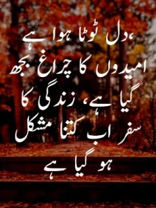 Heart Broken Quotes in Urdu example 4