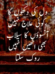 Heart Broken Quotes in Urdu example 5