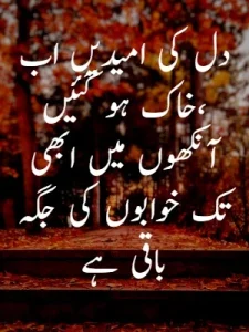 Heart Broken Quotes in Urdu example 6