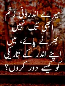 Heart Broken Quotes in Urdu example 8