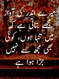 Heart Broken Quotes in Urdu example 9