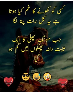 Funny Quotes in Urdu