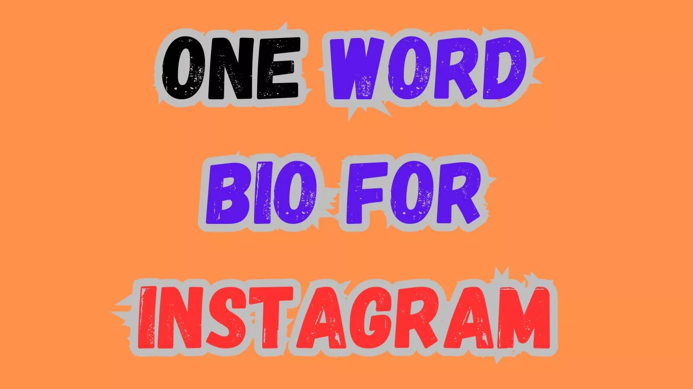 One Word Bio For Instagram waseemo