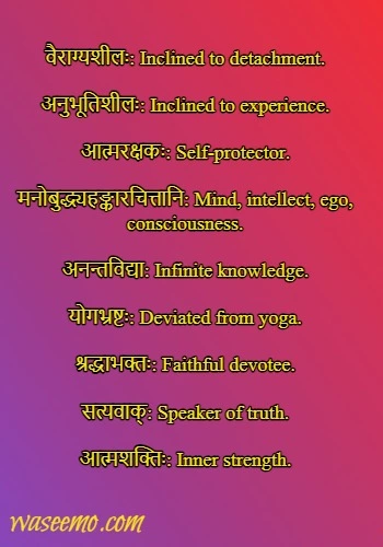 Sanskrit Bio For Instagram