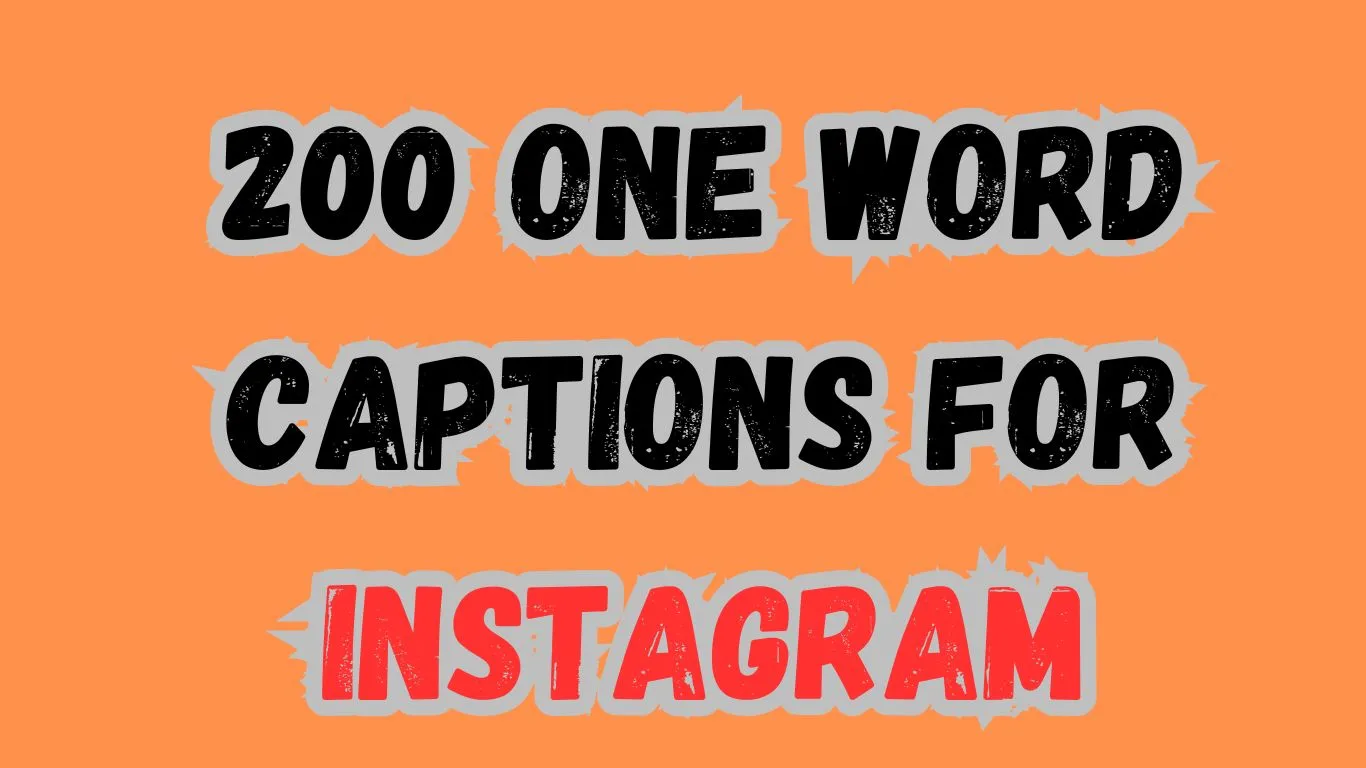 One Word Captions for Instagram waseemo